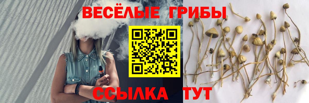 продажа наркотиков  Псилоцибиновые грибы мицелий  Вход с VPN  Галлюциногенные грибы MAGIC MUSHROOMS  Лениногорск 